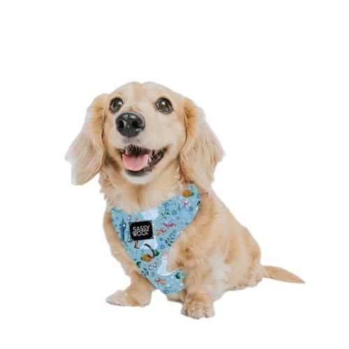 Sassy Woof Hundegeschirr verstellbar Disney Prinzessin Cinderella XS, atmungsaktives Netzgewebe, kein Ziehen, Design mit zwei D-Ringen, perfekt für kleine Hunde und Welpen, offizielles Lizenzprodukt Sassy Woof Hundegeschirr verstellbar Disney Prinzessin Cinderella XS, atmungsaktives Netzgewebe, kein Ziehen, Design mit zwei D-Ringen, perfekt für kleine Hunde und Welpen, offizielles Lizenzprodukt von Sassy Woof