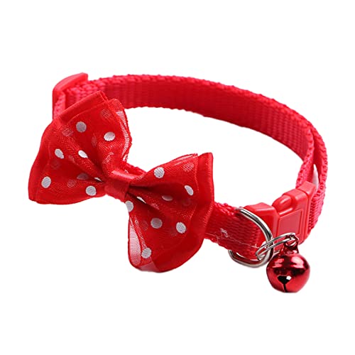 Saterkali Halsband, niedlich, verstellbar, attraktiv, Punktdruck, Schleife, Haustierhalsband für Hunde, Rot von Saterkali