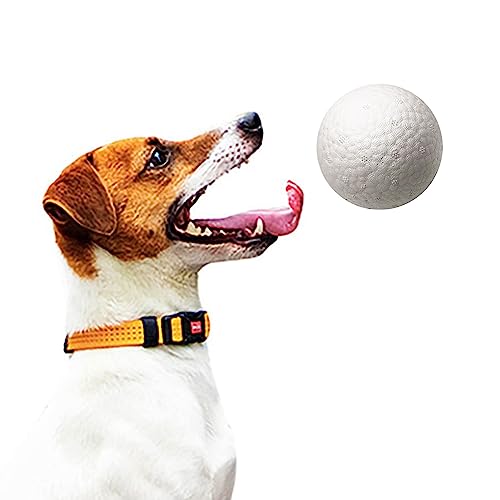 Saterkali Interaktives Hundespielzeug, Hundeball-Spielzeug, hochelastisch, bissfest, 3D-Vorsprünge für Kauer, interaktives Haustiergeschenk für Welpen, kleine, mittelgroße Hunde, I-7,6 cm von Saterkali