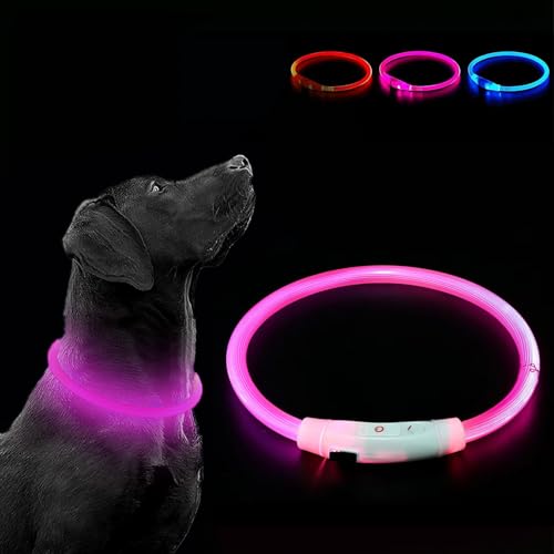 LED Leuchthalsband Hund Leuchthalsband für Hund USB Aufladbar Leuchtendes Hundehalsband Wasserdicht mit 3 Beleuchtungsmodi Halsband Hund mit Einstellbarer Länge für Kleine Große Katze LED Leuchthalsband Hund Leuchthalsband für Hund USB Aufladbar Leuchtendes Hundehalsband Wasserdicht mit 3 Beleuchtungsmodi Halsband Hund mit Einstellbarer Länge für Kleine Große Katze von Sathychanpy