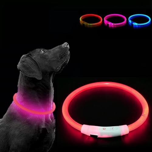 LED Leuchthalsband Hund Leuchthalsband für Hund USB Aufladbar Leuchtendes Hundehalsband Wasserdicht mit 3 Beleuchtungsmodi Halsband Hund mit Einstellbarer Länge für Kleine Große Katze LED Leuchthalsband Hund Leuchthalsband für Hund USB Aufladbar Leuchtendes Hundehalsband Wasserdicht mit 3 Beleuchtungsmodi Halsband Hund mit Einstellbarer Länge für Kleine Große Katze von Sathychanpy