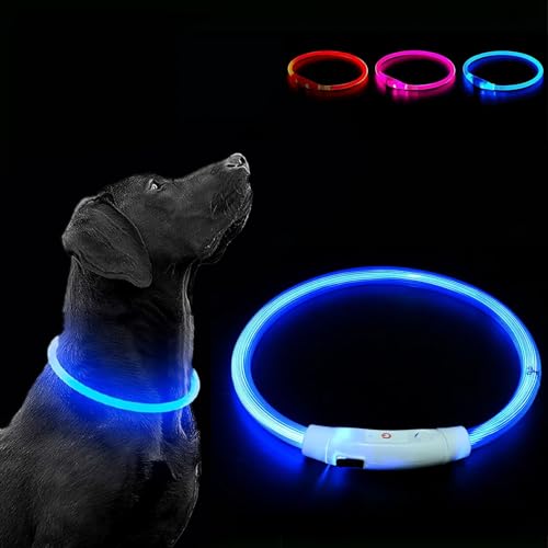 LED Leuchthalsband Hund Leuchthalsband für Hund USB Aufladbar Leuchtendes Hundehalsband Wasserdicht mit 3 Beleuchtungsmodi Halsband Hund mit Einstellbarer Länge für Kleine Große Katze LED Leuchthalsband Hund Leuchthalsband für Hund USB Aufladbar Leuchtendes Hundehalsband Wasserdicht mit 3 Beleuchtungsmodi Halsband Hund mit Einstellbarer Länge für Kleine Große Katze von Sathychanpy