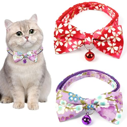 Satiskid Katzenhalsband mit Glocke und Fliege, rote und violette Blumendruck, verstellbare Schleife, Haustierhalsband für Katzen und kleine Hunde, 2 Stück Satiskid Katzenhalsband mit Glocke und Fliege, rote und violette Blumendruck, verstellbare Schleife, Haustierhalsband für Katzen und kleine Hunde, 2 Stück von Satiskid