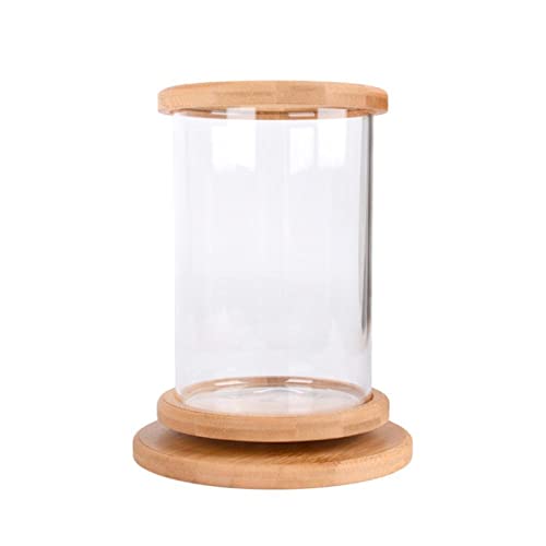 Aquarium Mini-Glas-Fisch-Tank Bambus-Basis-Fisch-Tank-Dekoration Dekoration Fischschüssel ökologischer Flaschen Aquarium Zubehör Aquarium-Kit von Saturey