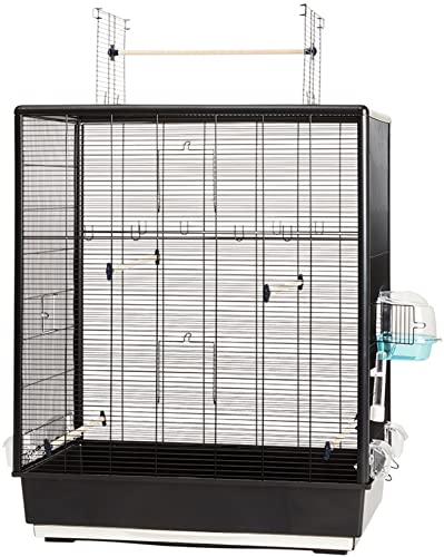 Savic 562304 Vogelheim Primo Open Empire, 80 x 50 x 115 cm, schwarz von Savic