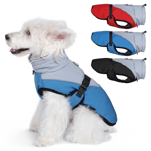 Savlot Hundemantel: Reflektierende Hunde-Wintermäntel mit Verstellbarer Schnalle, Wasserfest, für kleine, Mittelgroße und Große Hunde, Blau, M von Savlot