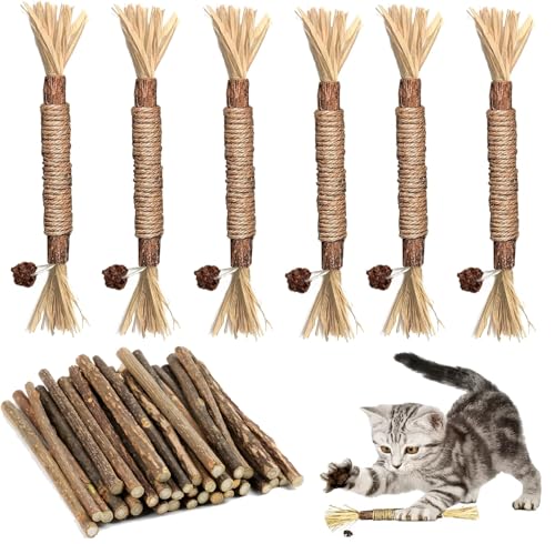 Sazhdmo Katzenminze Sticks, 26 StückKatzen Kauhölzer Sticks für Katzen Zahnpflege & Gegen Mundgeruch,Indoor-Katze interaktive Katzenspielzeug für Katzenzähne Reinigung, Stressa bbau und Kauen Sazhdmo Katzenminze Sticks, 26 StückKatzen Kauhölzer Sticks für Katzen Zahnpflege & Gegen Mundgeruch,Indoor-Katze interaktive Katzenspielzeug für Katzenzähne Reinigung, Stressa bbau und Kauen von Sazhdmo