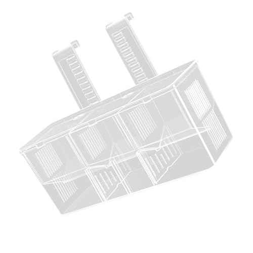 Hängende Bruttanks Für Aquarium Kleine Fisch Isolation Box Beilbox Für Fisch Clear Fish Laich Box Hängende Bruttanks Für Aquarium Kleine Fisch Isolation Box Beilbox Für Fisch Clear Fish Laich Box von Sbshiouu