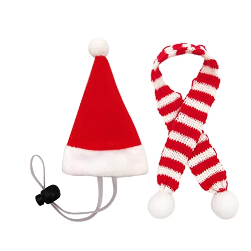 Sbyhbhyds Weihnachtsmütze Hühnchen Hut schal 1 Sätze,Mini Haustier hüte mützen Für Enten Hühnerhelm,Hühner Hut mit verstellbarem Kinngurt,huhnkostüm Rotes Zubehör Kleine Tiere Plüsch Party (White, M) Sbyhbhyds Weihnachtsmütze Hühnchen Hut schal 1 Sätze,Mini Haustier hüte mützen Für Enten Hühnerhelm,Hühner Hut mit verstellbarem Kinngurt,huhnkostüm Rotes Zubehör Kleine Tiere Plüsch Party (White, M) von Sbyhbhyds