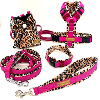 Hundegeschirr & Accessoires Set Crazy Pink Leo - XXS / XXS (HU 22-27 cm) / Aluminium von ScandiPaws
