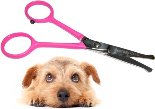SCAREDY CUT Kleine Fellpflege-Schere Tiny Trim mit runden Spitzen für Haustiere – 11,4 cm, pink, für Ohr, Nase, Gesicht, Pfote – für Katzen, Hunde, Haustiere SCAREDY CUT Kleine Fellpflege-Schere Tiny Trim mit runden Spitzen für Haustiere – 11,4 cm, pink, für Ohr, Nase, Gesicht, Pfote – für Katzen, Hunde, Haustiere von Scaredy Cut