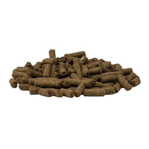 GOLDPFERD SORGENFREI von Scharnbecker Mühle