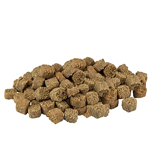 Schecker Hundeleckerli - Lamm Crockies - Hundekekse ohne Getreide für Hunde - mit Lamm (Single-Protein!) 1 kg von Schecker