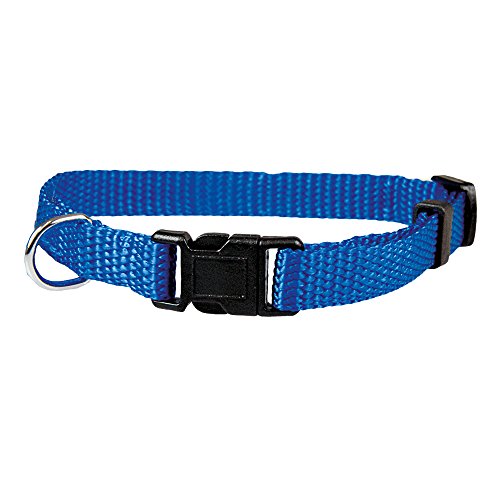 Nylon Welpenhalsbänder Blau 9-32 cm verstellbar Für einen Halsumfang von 19-32 cm 4 Farben ideal für Züchter, auch als Set mit Leine lieferbar von Schecker