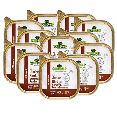 Schecker Nassfutter - Hundemenü Junior Rind mit Kartoffel, Fenchel und Banane - 12 x 200 g - Welpenfutter - 80% frisches Rind Schecker Nassfutter - Hundemenü Junior Rind mit Kartoffel, Fenchel und Banane - 12 x 200 g - Welpenfutter - 80% frisches Rind von Schecker