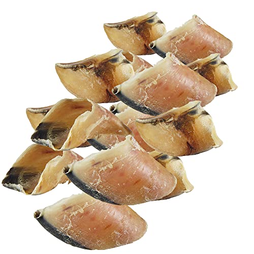 Schecker 25 Stück Rinderhufe - Kalbshufe - fettarm - sauber - ideal für die Zahnpflege Schecker 25 Stück Rinderhufe - Kalbshufe - fettarm - sauber - ideal für die Zahnpflege von Schecker