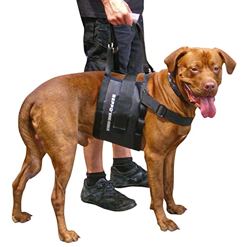Schecker Beppo® Hunde - Gehhilfe - Tragehilfe - für mittelgroße oder große Hunde geeignet - Unisex von Schecker