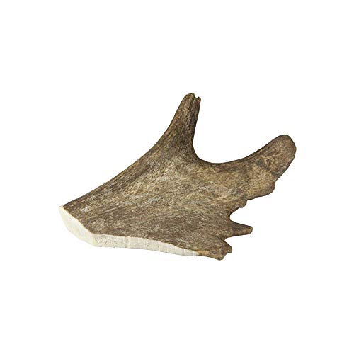 Schecker Damhirsch-Geweihsnack Dogreform reines Naturprodukt 1 St./Gr. M = 75-100g Schecker Damhirsch-Geweihsnack Dogreform reines Naturprodukt 1 St./Gr. M = 75-100g von Schecker