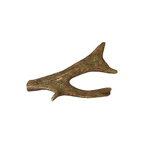 Schecker Damhirsch-Geweihsnack Dogreform reines Naturprodukt 1St/Gr. S = 35-75g Schecker Damhirsch-Geweihsnack Dogreform reines Naturprodukt 1St/Gr. S = 35-75g von Schecker