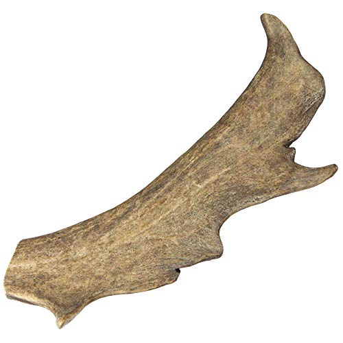 Schecker Damhirsch Geweihsnack Dogreform reines Naturprodukt 1St./Gr. XL = 125-160g Schecker Damhirsch Geweihsnack Dogreform reines Naturprodukt 1St./Gr. XL = 125-160g von Schecker
