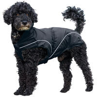 Schecker - DogBite Regenjacke, Farbe: Schwarz [70 cm] von Schecker