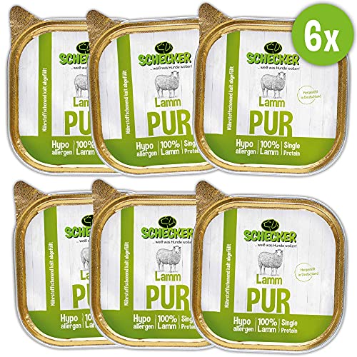 Schecker Dogreform Fleischtopf Schälchen Lamm 6 x 200g getreidefrei glutenfrei für kleine Hunderassen wie Yorkshire Terrier, Chihuahua ect. Schecker Dogreform Fleischtopf Schälchen Lamm 6 x 200g getreidefrei glutenfrei für kleine Hunderassen wie Yorkshire Terrier, Chihuahua ect. von Schecker