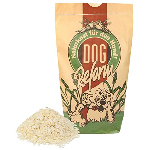 Schecker Trockenfutter vorgekochter Reis - Diätnahrung für empfindliche Hunde - 3 kg - Diätfutter - Barf von Schecker