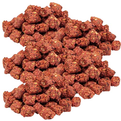 Schecker Insect Knuspies 5 x 250g - Hundeleckerlie mit 30% Insektenprotein - getreidefrei - Glutenfrei - Hypoallergen von Schecker