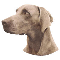 Schecker - Kleine Aufkleber 4er Packung [Weimaraner] von Schecker