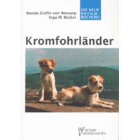 Schecker - Kromfohrländer von Schecker