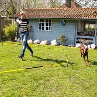 Schecker - Longier-Set für Hunde von Schecker