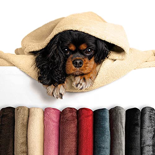 Schecker Mikrofaserdecke Premium Hund mit Name Beere 1Stück 150 cm x 95 cm Bestickt mit dem Namen Ihres Hundes Schecker Mikrofaserdecke Premium Hund mit Name Beere 1Stück 150 cm x 95 cm Bestickt mit dem Namen Ihres Hundes von Schecker