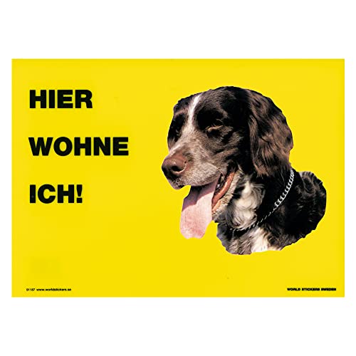 Schecker Münsterländer Warnschild - Warnschilder Hund - Hier wohne ich - 20 x 28 cm - viele Rassen von Schecker