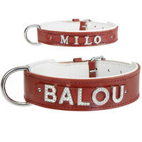 Schecker - MyName Leder-Halsband, rot [25 cm x 12 mm - ohne Buchstaben] von Schecker