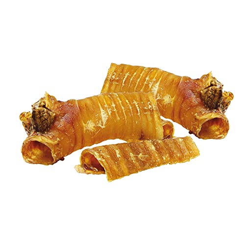 Schecker Pferdestrossen 250g zähe und knorpelige Luftröhren vom Pferd Ideal für Hunde, die viel kauen sollen oder Beschäftigung benötigen Schecker Pferdestrossen 250g zähe und knorpelige Luftröhren vom Pferd Ideal für Hunde, die viel kauen sollen oder Beschäftigung benötigen von Schecker