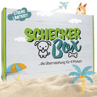Schecker - Sommerbox von Schecker