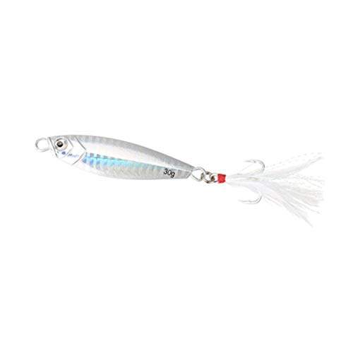 Scherry Metall Spinner Jig des harten Köder 10g / 20g / 30g Salzwasser Jigging Blei Fischköder Körper Sinking Bait Mist Angelgerät 30D von Scherry