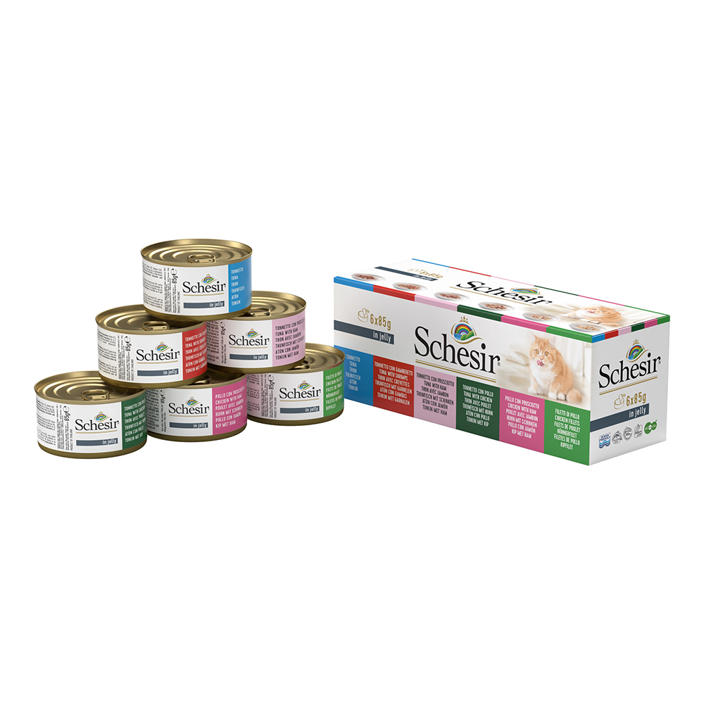 Mixpack Schesir Dose - 6 x 85 g Jelly (6 Sorten) von Schesir