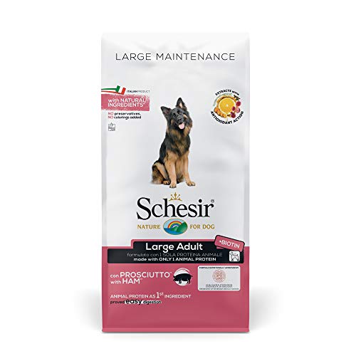 Schesir, Hundefutter für Erwachsene, große Größe, Schinkengeschmack, Linie Pflege, Kroketten, Format Beutel mit 12 kg von Schesir