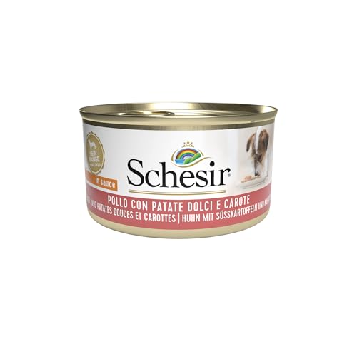 Schesir, Nassfutter für Erwachsene Hunde mit Huhn, Kartoffeln und Karotten, in weichem Gelee (24 Dosen à 85 g) von Schesir