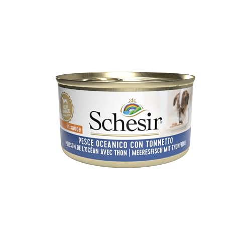 Schesir, Nassfutter für Erwachsene Hunde mit Meeresfisch und Thunfisch, aus weichem Gelee (24 Dosen à 85 g) von Schesir