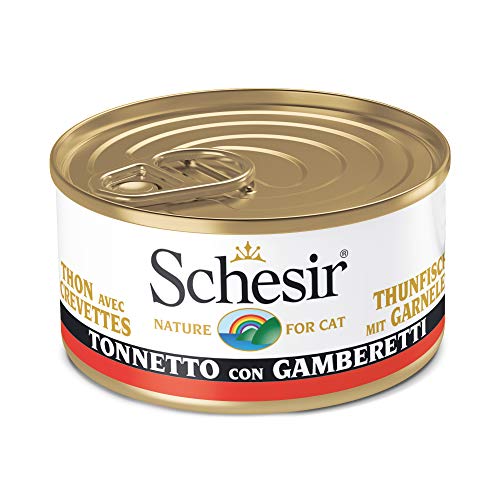 Schesir, Nassfutter für ausgewachsene Katzen, Bakorette-Geschmack mit Garnelen auf Filets und Weichgelatine, insgesamt 2 kg (24 Dosen x 85 g) von Schesir
