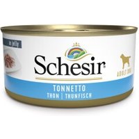 Schesir Adult 18x150g Thunfisch von Schesir