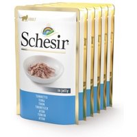 Schesir Adult 6x85g Thunfisch Schesir Adult 6x85g Thunfisch von Schesir