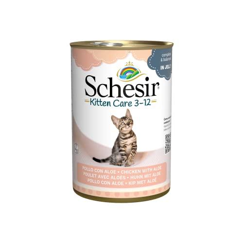 Schesir Cat Jelly Kitten Hühnerfilet mit Aloe Vera, Katzenfutter nass für Kätzchen in Gelee, 24 Dosen x 140 g von Schesir