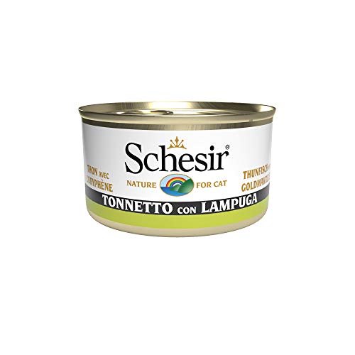 Schesir Cat Jelly Thunfisch mit Goldmakrele, Katzenfutter nass in Gelee, 24 Dosen x 85 g Schesir Cat Jelly Thunfisch mit Goldmakrele, Katzenfutter nass in Gelee, 24 Dosen x 85 g von Schesir