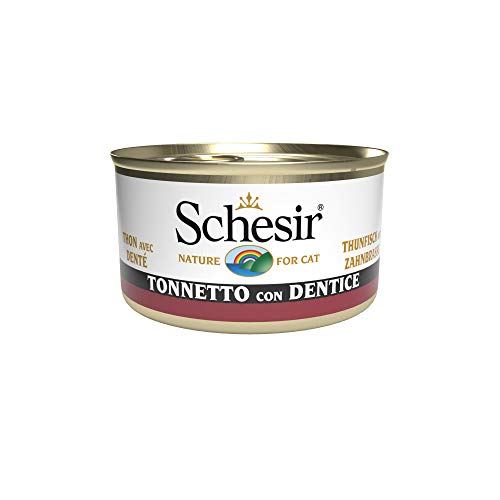 Schesir Cat Jelly Thunfisch mit Zahnbrasse, Katzenfutter nass in Gelee, 24 Dosen x 85 g von Schesir