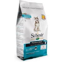 Schesir Dog Dry Medium/Large Maintenance Fisch - 2 x 12 kg von Schesir