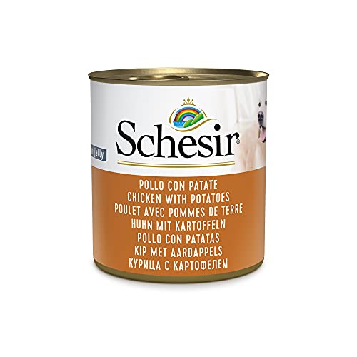 Schesir Dog Huhn mit Kartoffel, Hundefutter nass, 16 Dosen x 285 g von Schesir