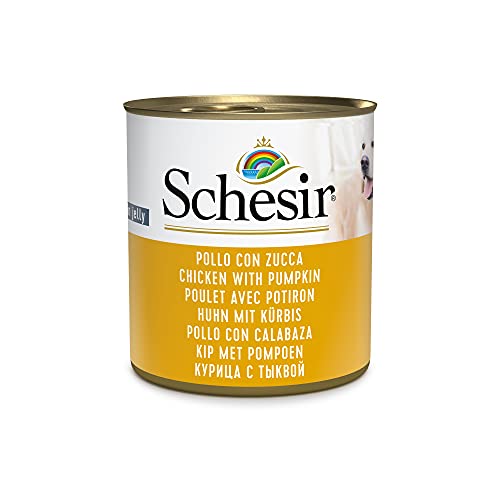 Schesir Dog Huhn mit Kürbis, Hundefutter nass, 16 Dosen x 285 g von Schesir